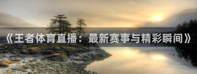 雨燕360免费直播nba赛事：《王者体育直播：最新赛事与精彩瞬间》