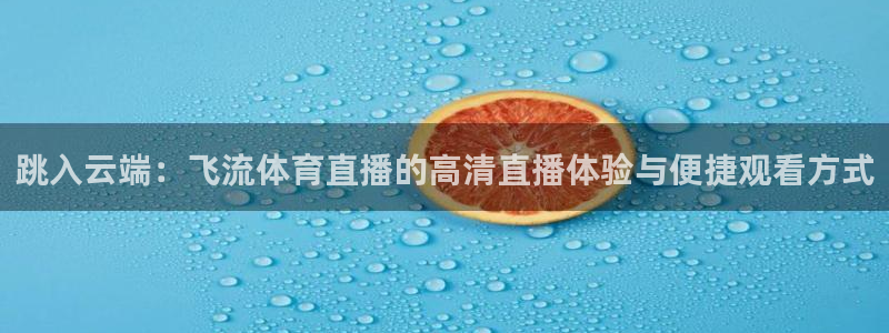 360直播球赛：跳入云端：飞流体育直播的高清直播体验与便捷观看方式