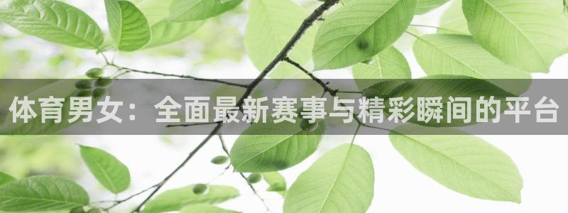 雨燕360体育直播全网发布.新年网.中国：体育男女：全面最新赛事与精彩瞬间的平台