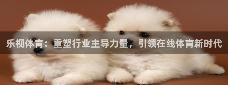 360足球体育直播免费观看：乐视体育：重塑行业主导力量，引领在线体育新时代