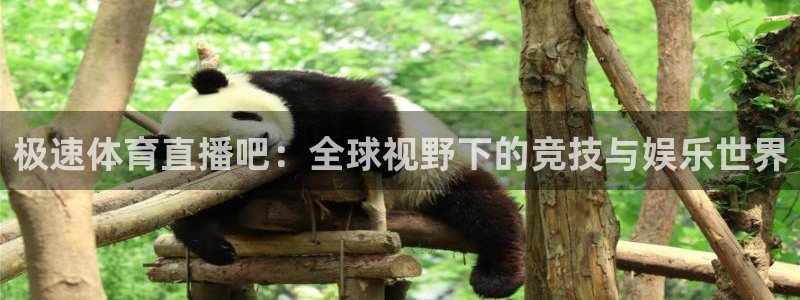 360体育直播观看：极速体育直播吧：全球视野下的竞技与娱乐世界