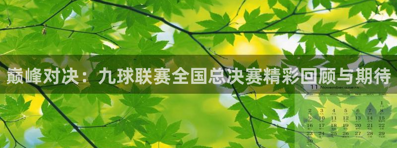 雨燕360免费直播nba赛事：巅峰对决：九球联赛全国总决赛精彩回顾与期待