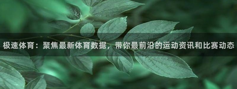 360无插件体育直播：极速体育：聚焦最新体育数据，带你最前沿的运动资讯和比赛动态