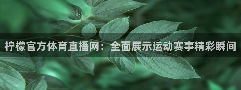 360直播足球直播：柠檬官方体育直播网：全面展示运动赛事精彩瞬间