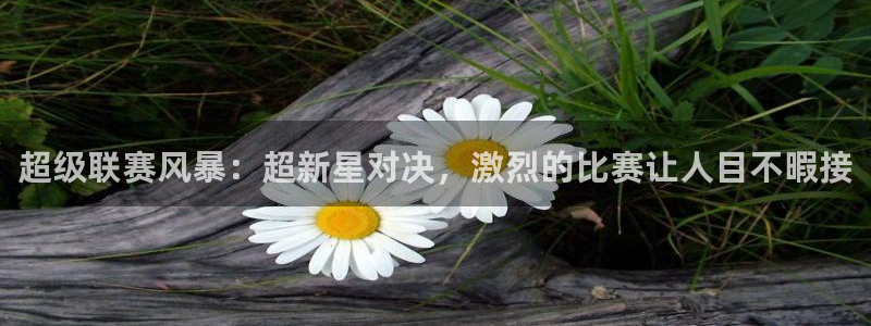 360体育免费观看直播：超级联赛风暴：超新星对决，激烈的比赛让人目不暇接