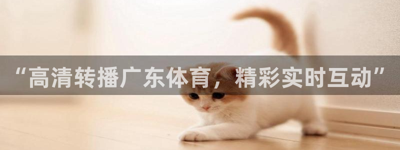 360免费观看体育直播：“高清转播广东体育，精彩实时互动”