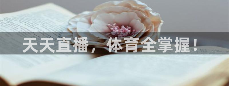 360足球雨燕现场直播：天天直播，体育全掌握！