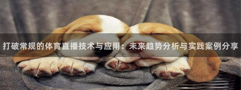 雨燕360直播免费观看nba：打破常规的体育直播技术与应用：未来趋势分析与实践案例分享