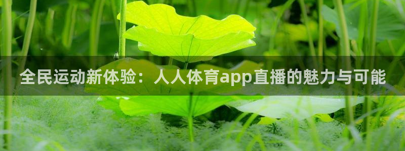 360足球比赛直播雨燕：全民运动新体验：人人体育app直播的魅力与可能