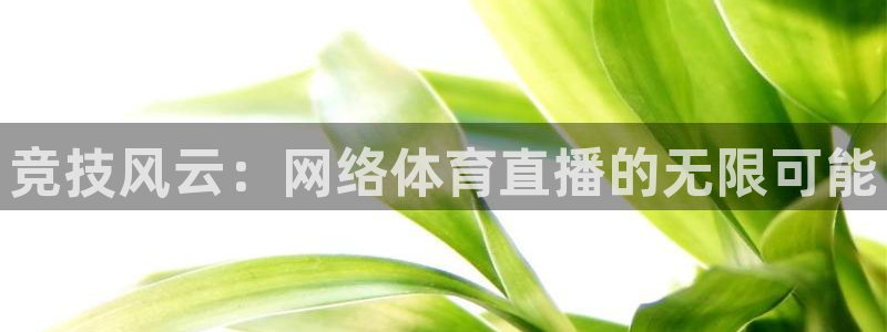 360直播体育足球：竞技风云：网络体育直播的无限可能